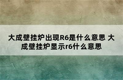 大成壁挂炉出现R6是什么意思 大成壁挂炉显示r6什么意思